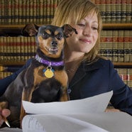 Innovations in Animal Law