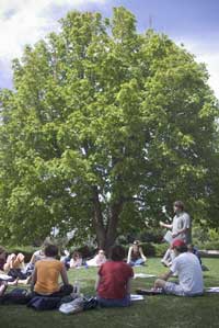 Students outside studying