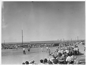 At the Baseball Game