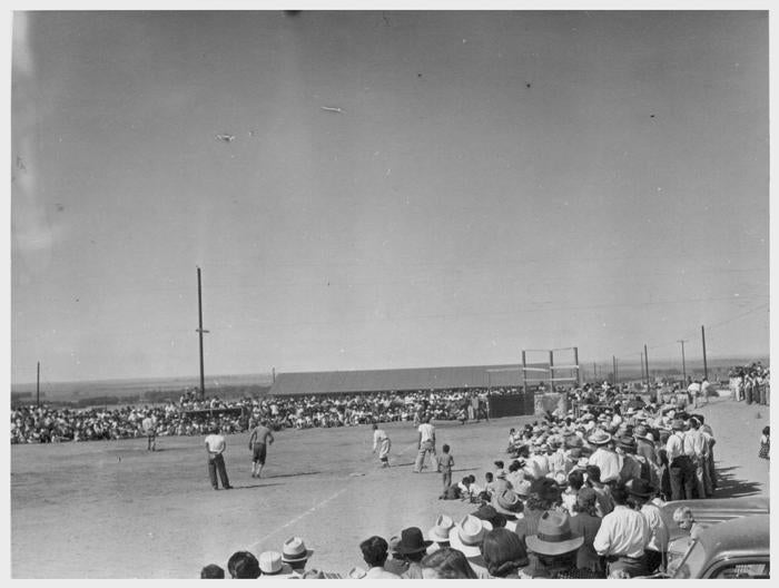 At the Baseball Game