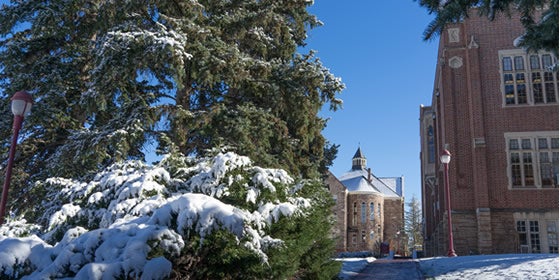 University of Denver Financial Aid