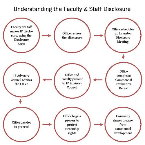 Disclosure flowchart