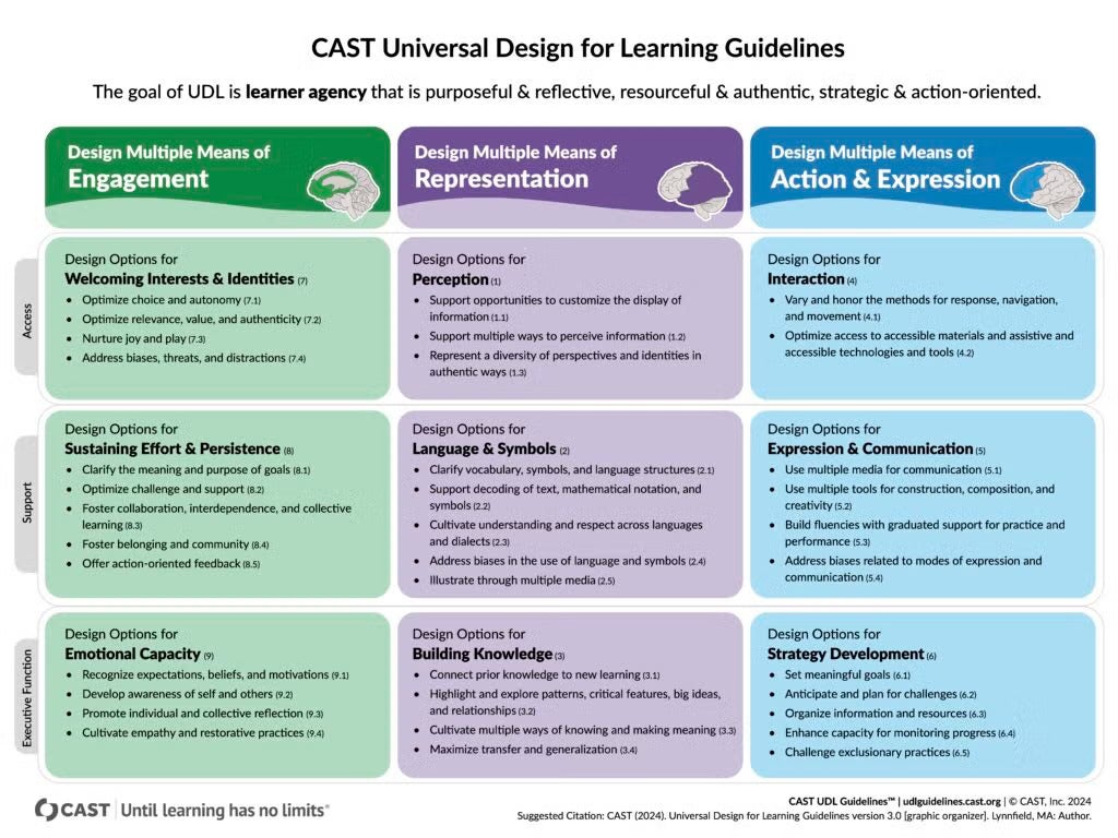 CAST UDL Guidelines