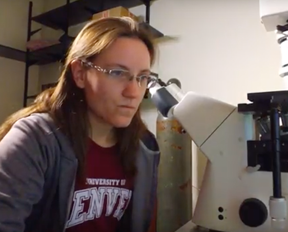 Discovering True Passion