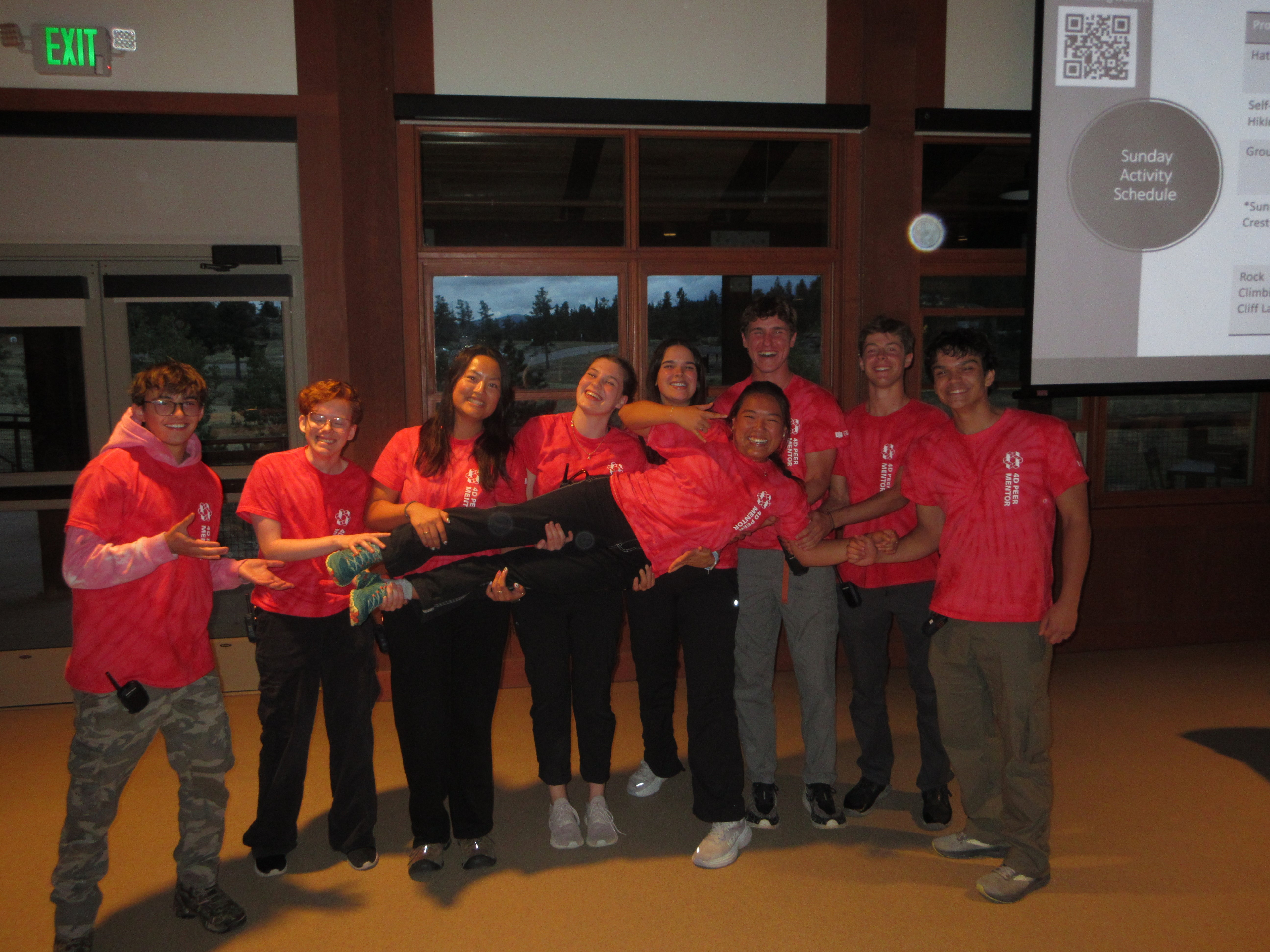 4D Peer Mentor Group