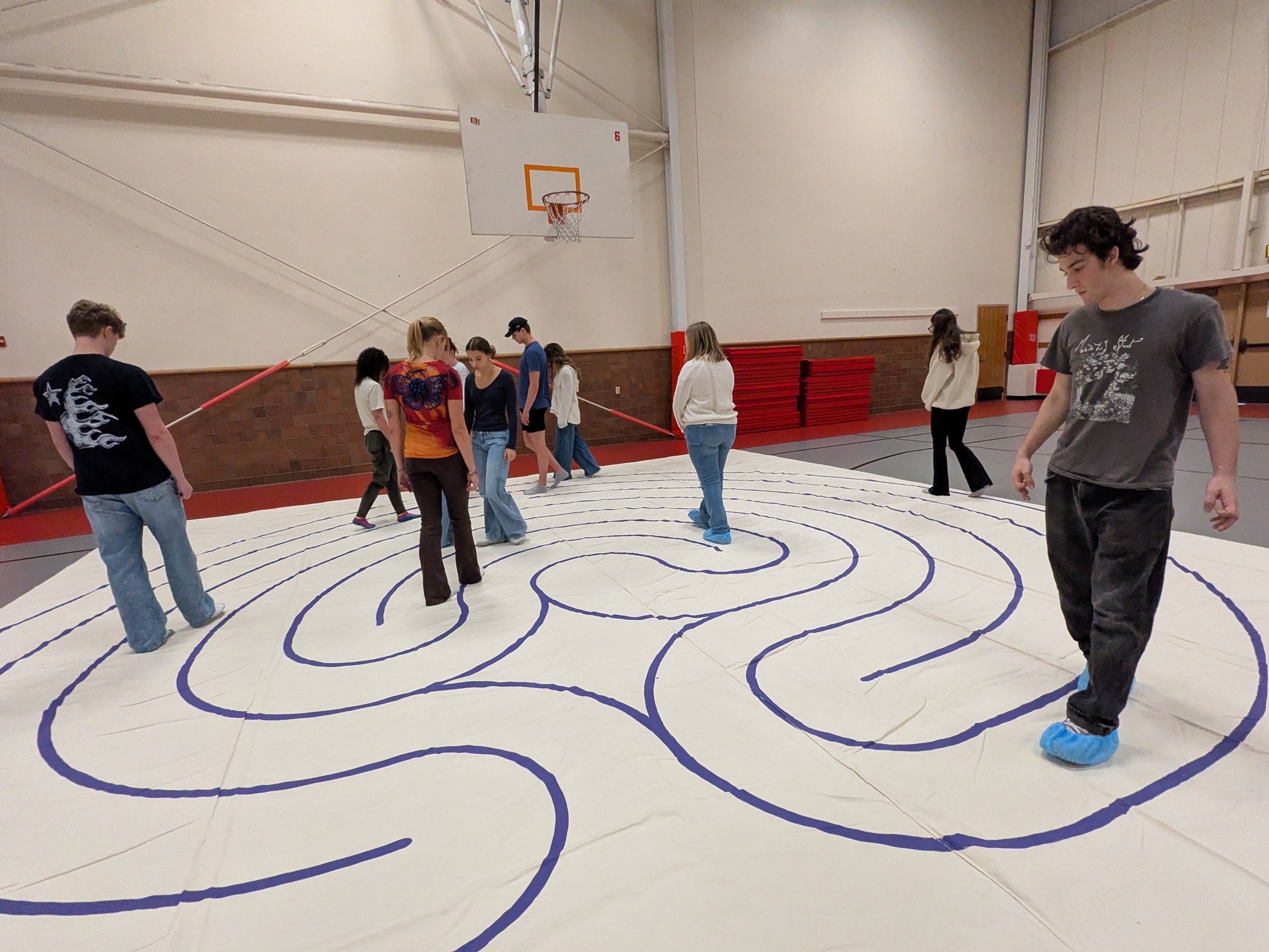 FSEM The Psychology of Thriving class