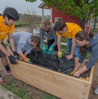 Pursuing a Green Life