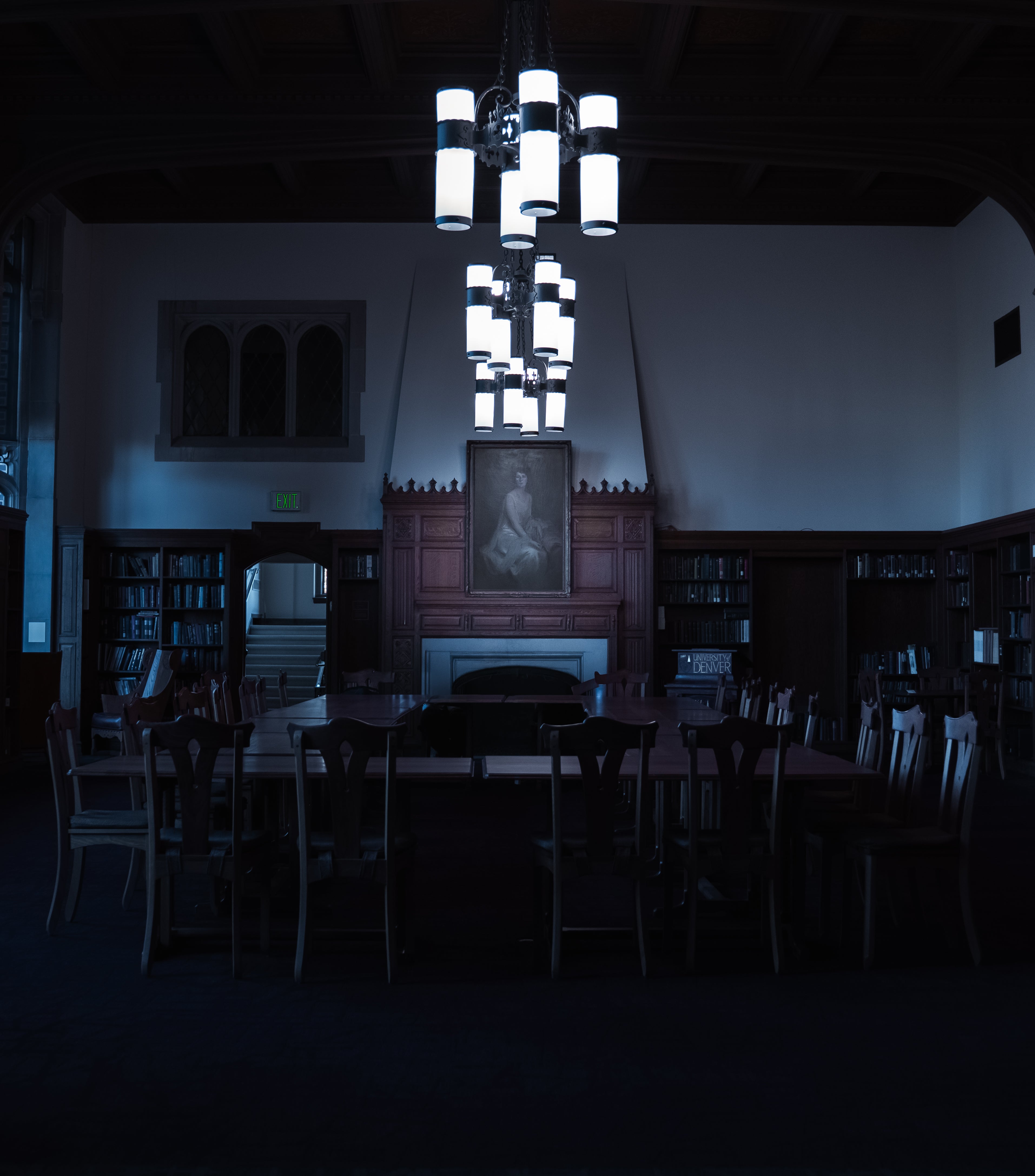 dark Renaissance room library at Mary Reed