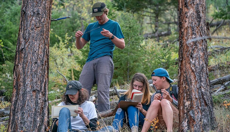 students doing research in forest
