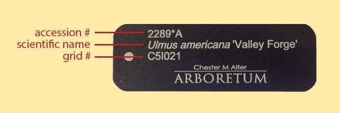 Reading Accession Label