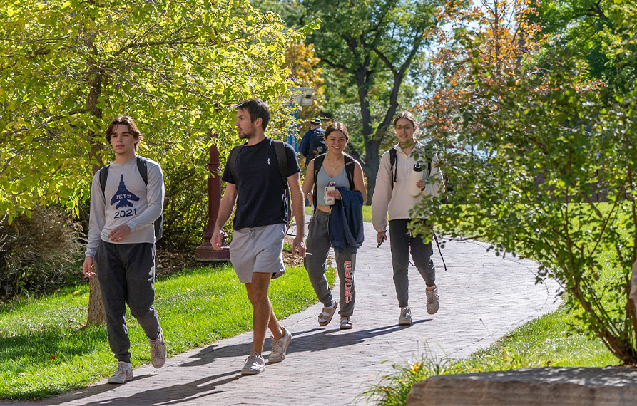 group of students walking along a tree-lined path on a sunny day