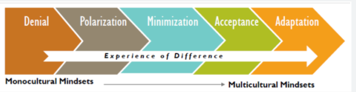 experience of difference spectrum