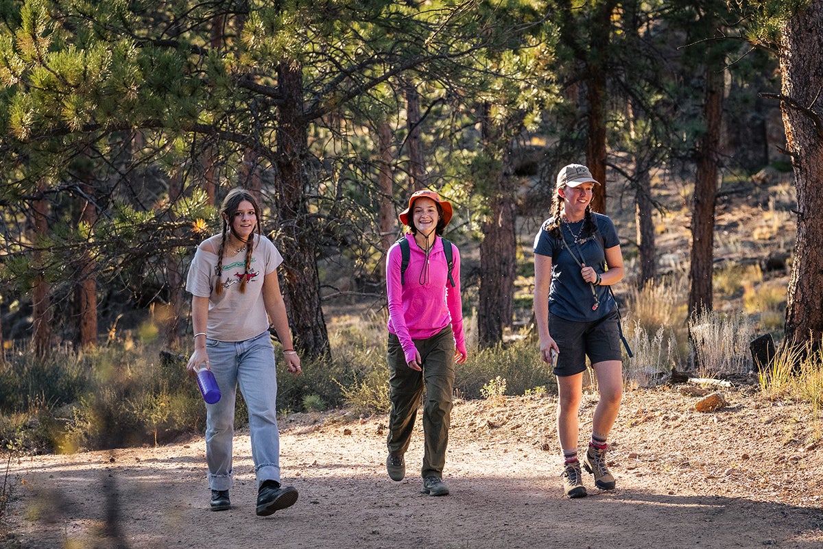 Students hiking in the woods