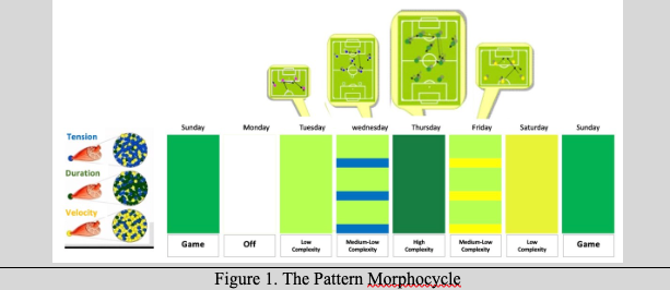Pattern Morphocycle