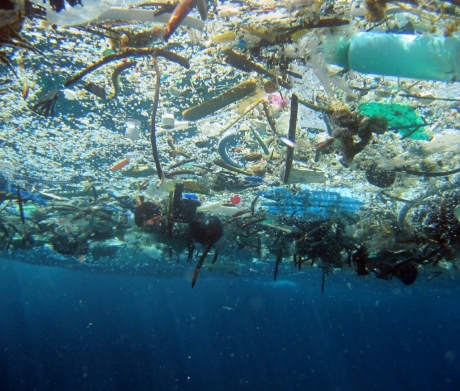 Experts estimate that by 2050, there will be more plastic in the ocean than fish.