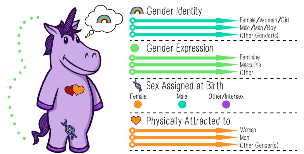 The Gender Unicorn