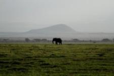 Kenya Interterm Course