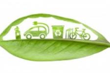 Sustainability Leaf
