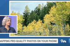Jeanette Burkle and Fall Foliage