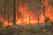 Australia Fire