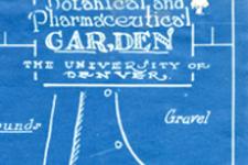 DU pharmaceutical garden