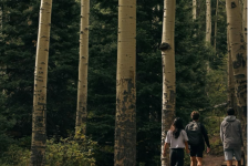 students hiking in the woods