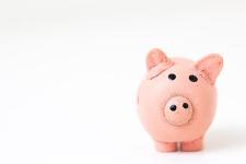 piggy bank on white background 