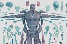 Experimental Biomechanics Lab 