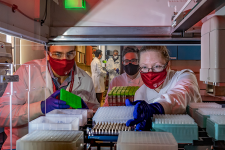 spit-lab-covid-testing