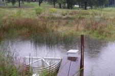 Flooded wetland