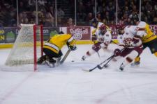 DU Men's Hockey