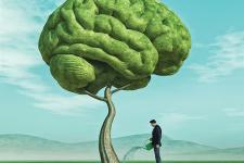 Man watering a tree that's shaped like a brain