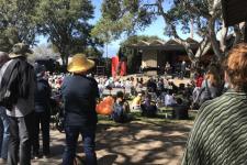 Monterey Jazz Festival