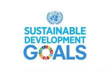 Sustainable Development Goals logo