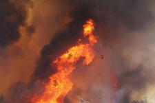 Wildfires