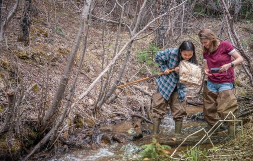 students take samples from a lab study in a creek