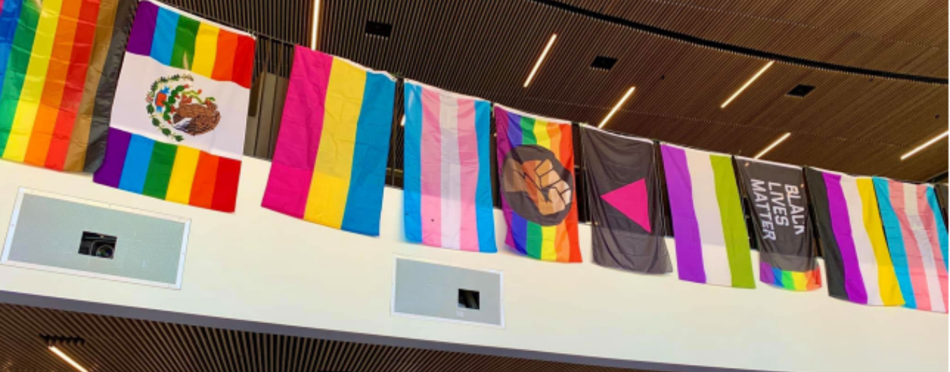 LGBTQ flags