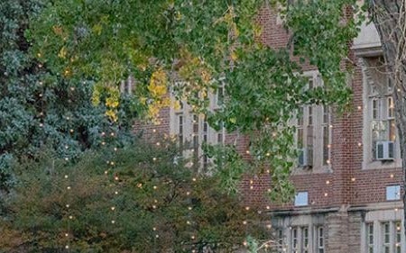 view through trees to brick building on campus