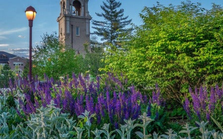 campus in spring