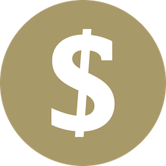 dollar icon