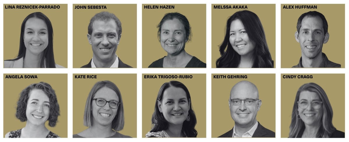 4D faculty teaching fellows