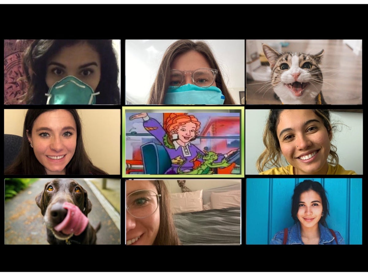 students and pets attending zoom meeting during covid