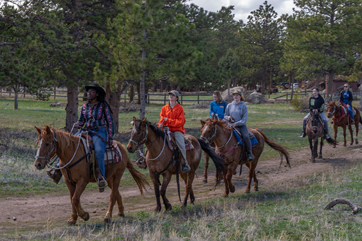KMC Horseback Riding