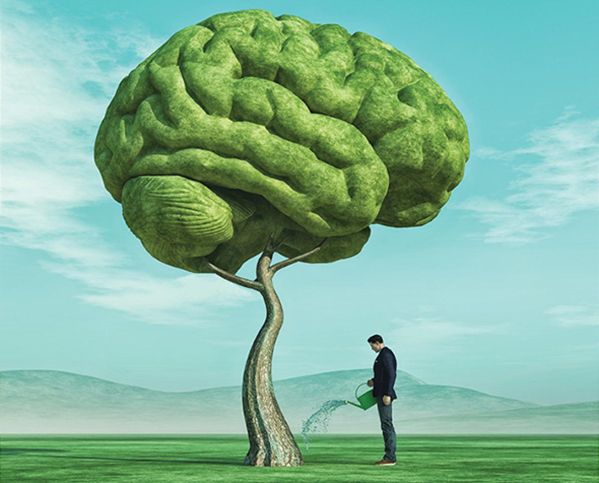 Man watering a tree that's shaped like a brain