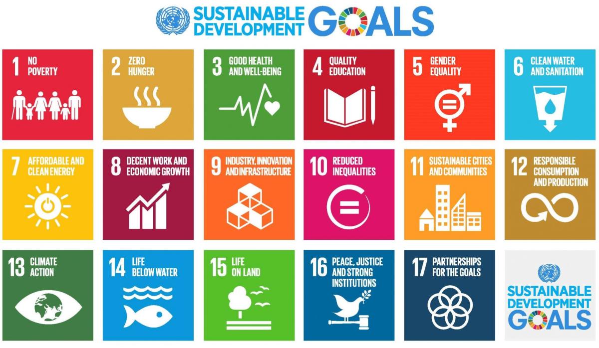Sustainable Development Goals picture