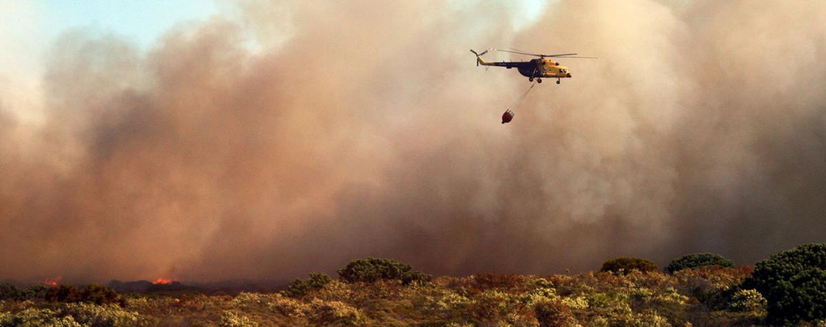Bush fire