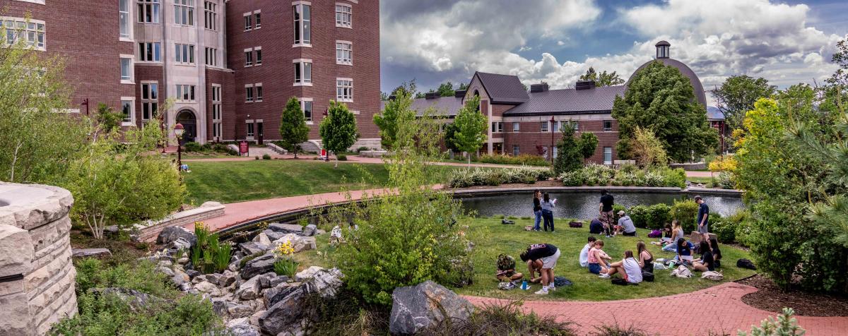 Engineering School Lawn