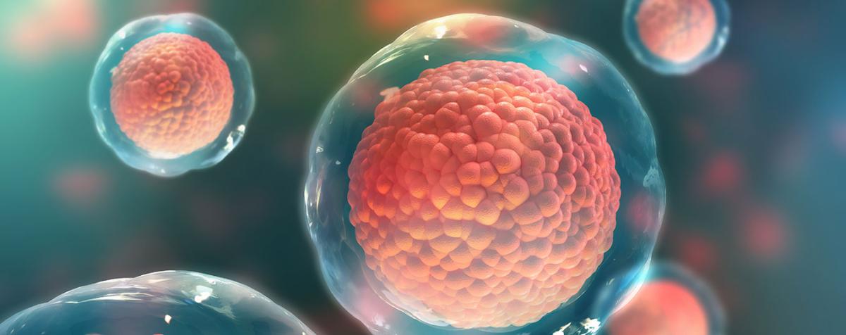 Cells