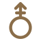 androgeynous symbol