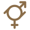 gender fluid icon